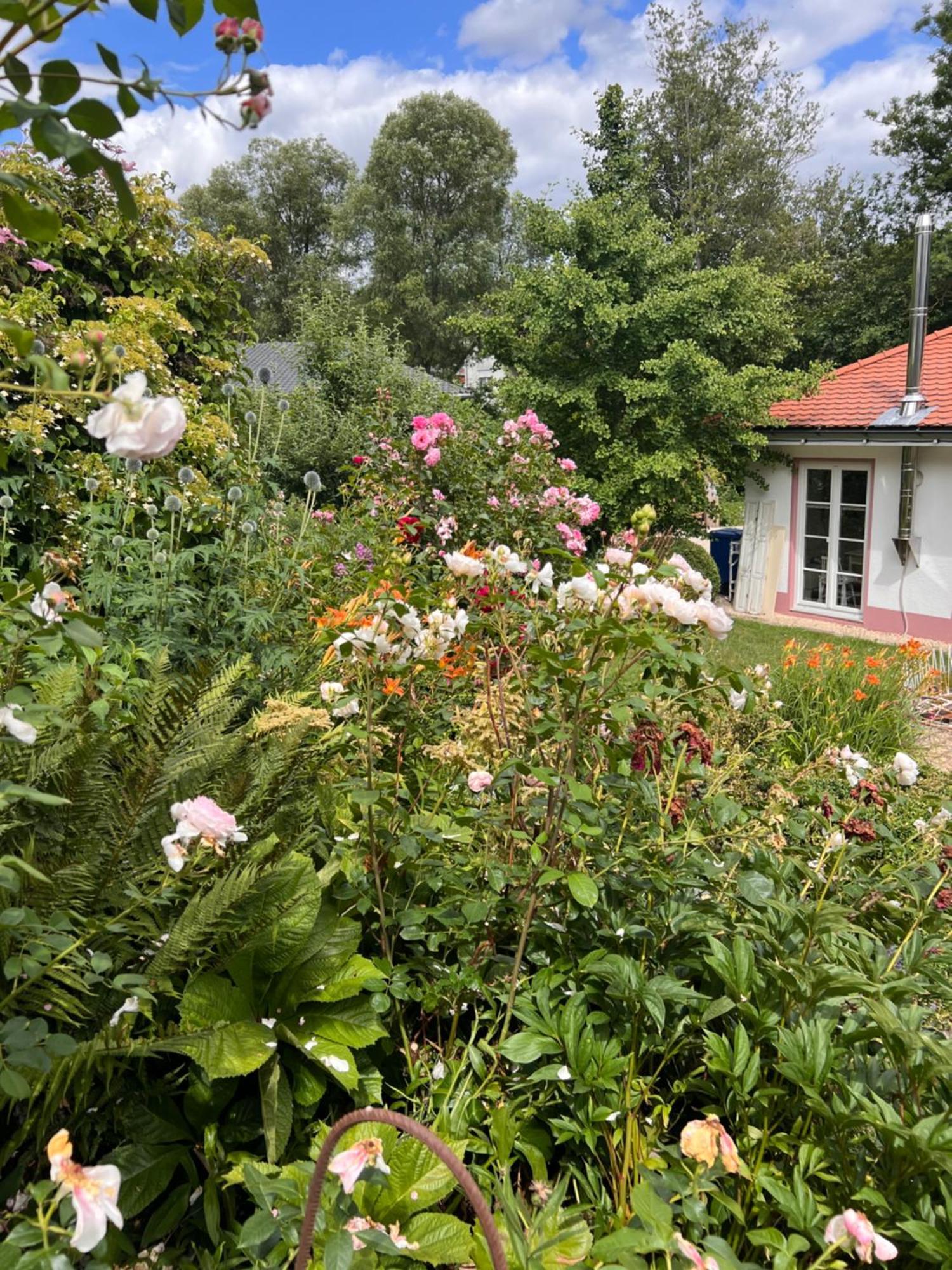 Niedereschach B&B Rosenliebe מראה חיצוני תמונה